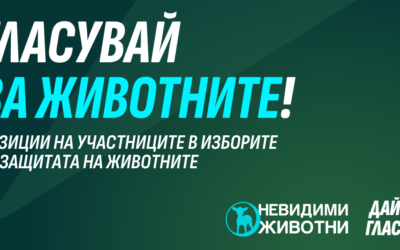 Анкета: Каузата на животните печели изборите в следващия парламент