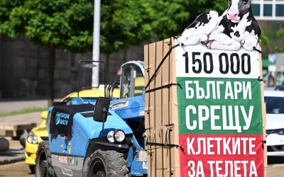 „Невидими животни“ внесе 150 000 подписа с мотокар в Народното събрание срещу клетките за телета